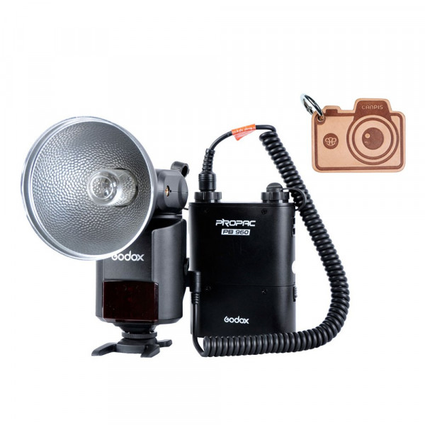 Godox WITSTRO ad-360 Bare Tube Flash Speedlite + PB960 Akku Power Pack-310